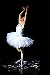 Dancing for the Children - Gala 2011- Dying Swan