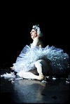 Dancing for the Children - Gala 2011- Dying Swan